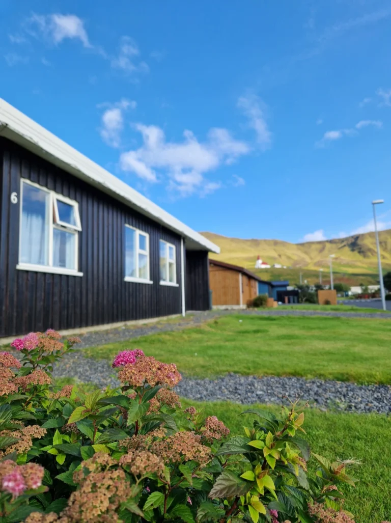 Apartament Vik